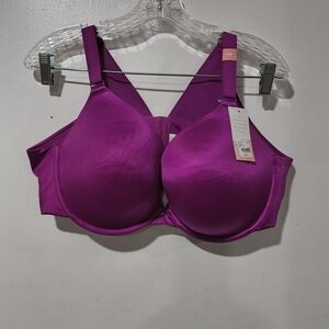NWT Cacique Women's Purple Bra
